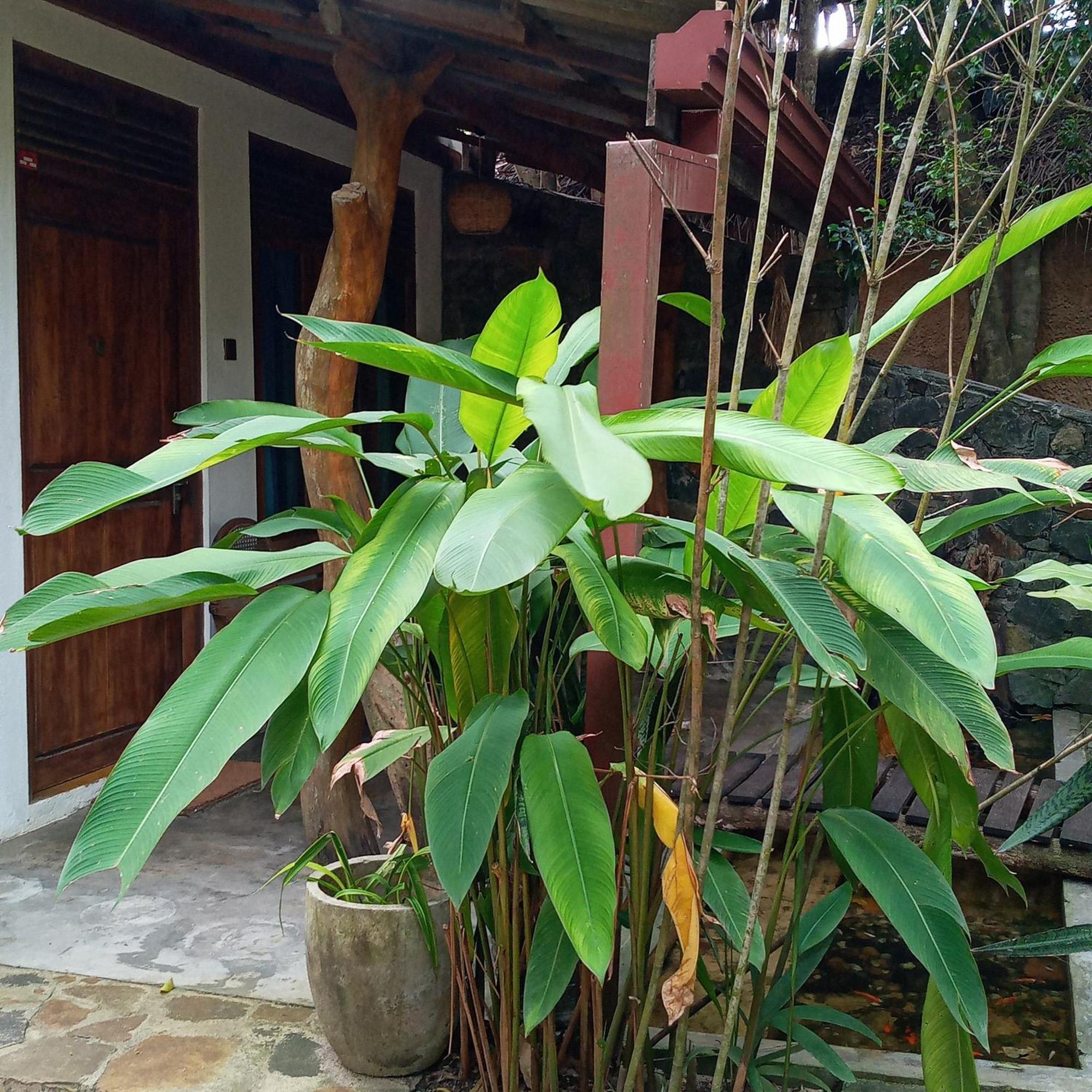 Cinnabar Resort Tangalle Exterior photo