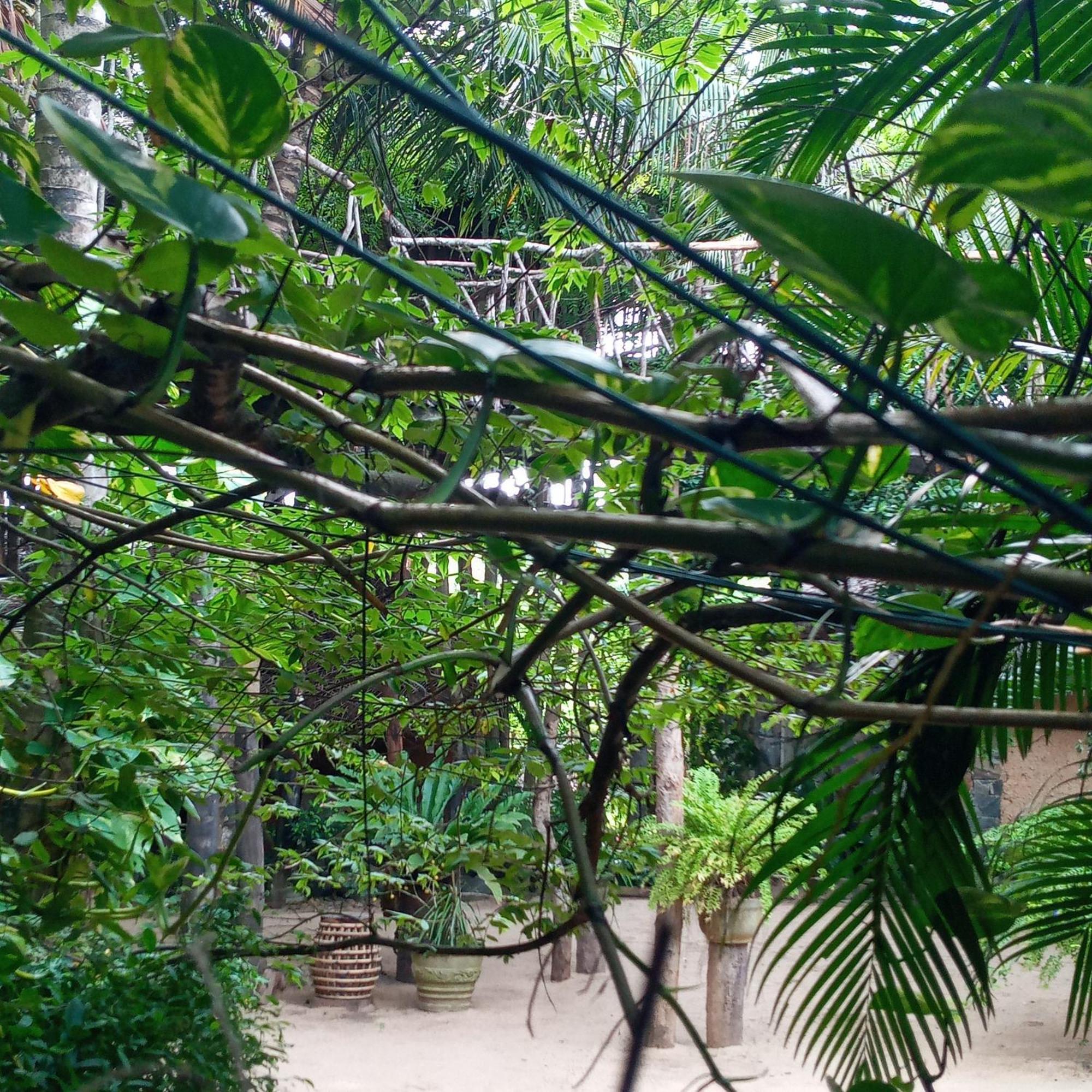 Cinnabar Resort Tangalle Exterior photo