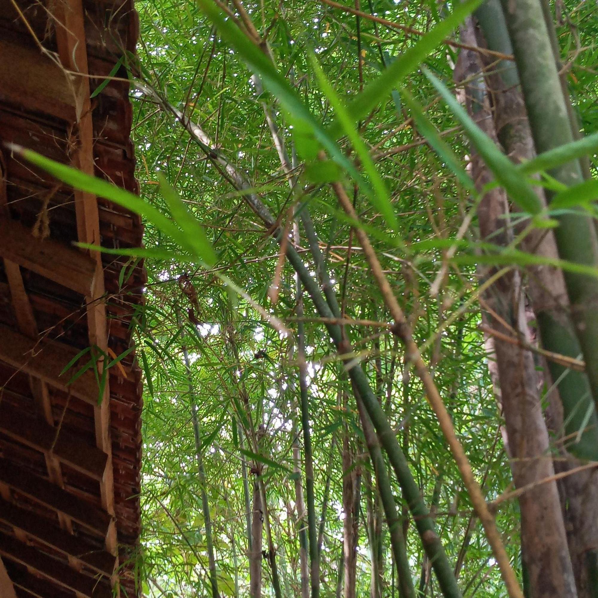 Cinnabar Resort Tangalle Exterior photo