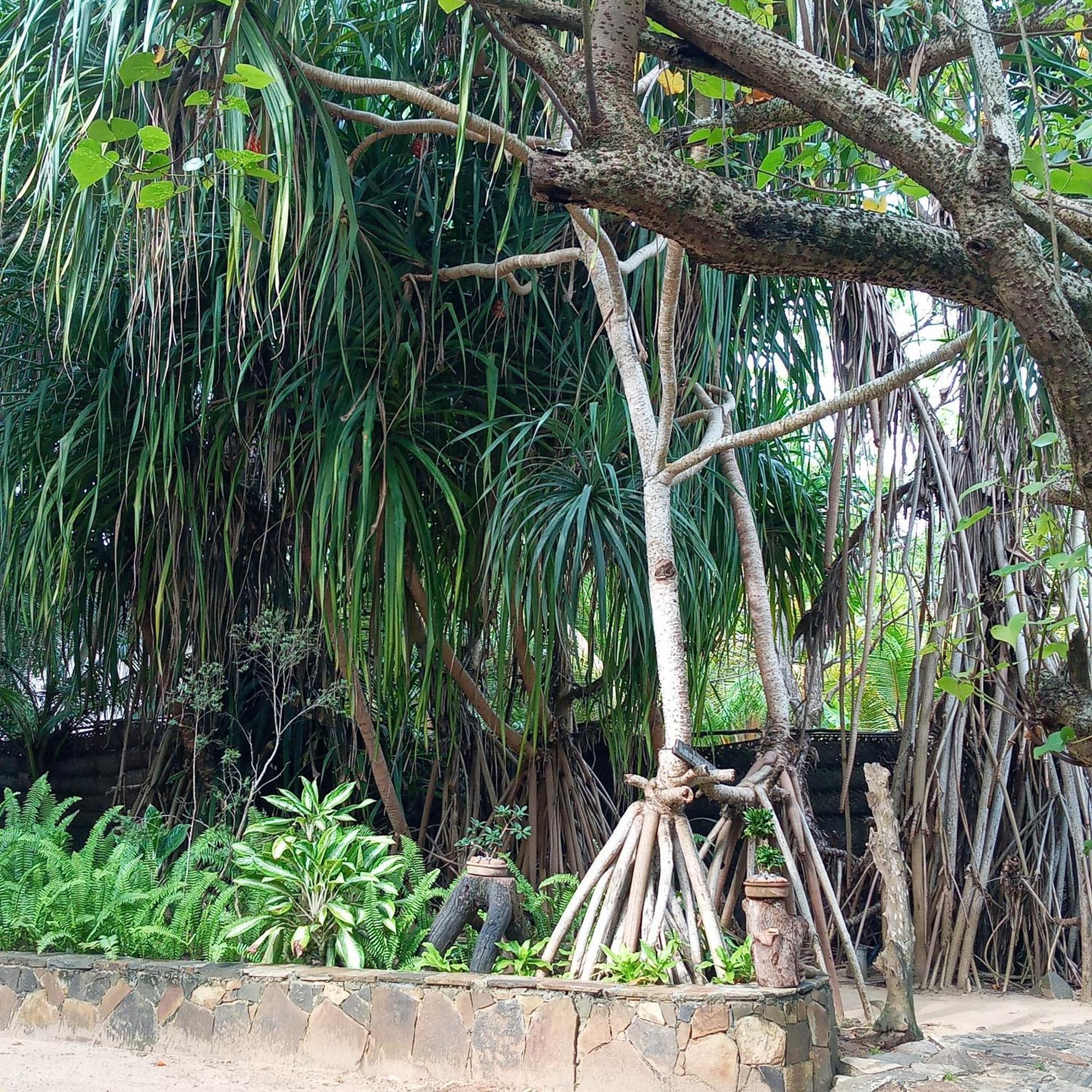 Cinnabar Resort Tangalle Exterior photo